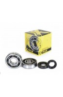 KIT RODAMIENTOS + COJINETES...