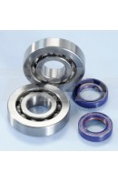 KIT RODAMIENTOS Y RETENES...