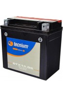 BATERÍA TECNIUM BTX14-BS (...
