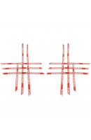 PACK 2 CINTAS PARRILLAS...