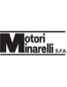 Minarelli Am6